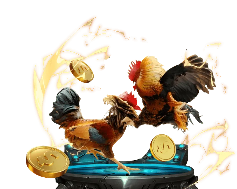 Hình ảnh cập nhật tin tức mới nhất từ suncity 8888